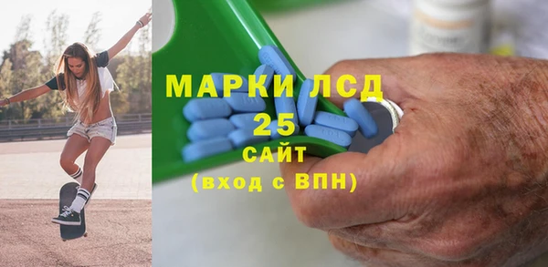 молекула духа Богданович