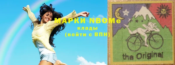 молекула духа Богданович