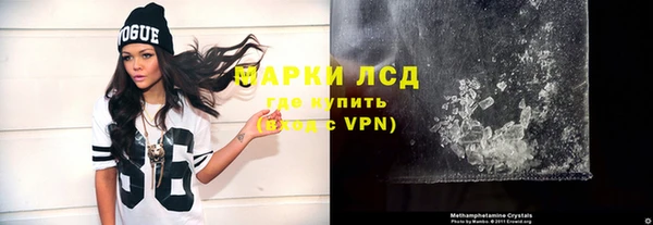 молекула духа Богданович