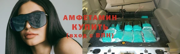 молекула духа Богданович