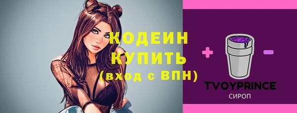 молекула духа Богданович