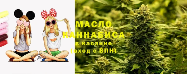 молекула духа Богданович