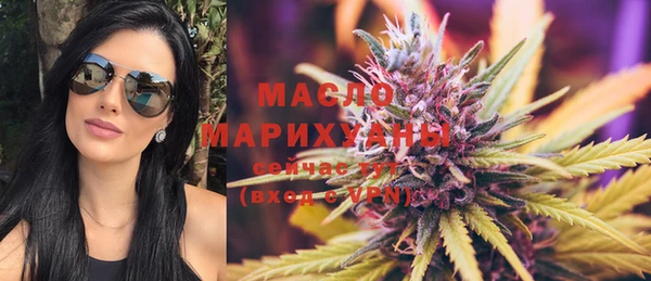 молекула духа Богданович