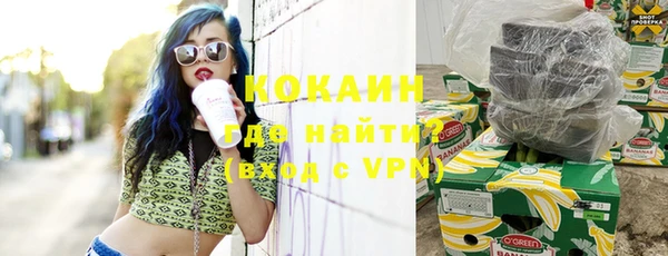 молекула духа Богданович