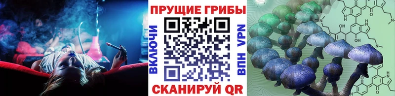 Псилоцибиновые грибы MAGIC MUSHROOMS  хочу   Кострома 